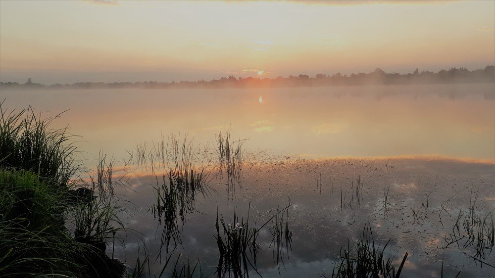 Photograph by Людмила Колеватова