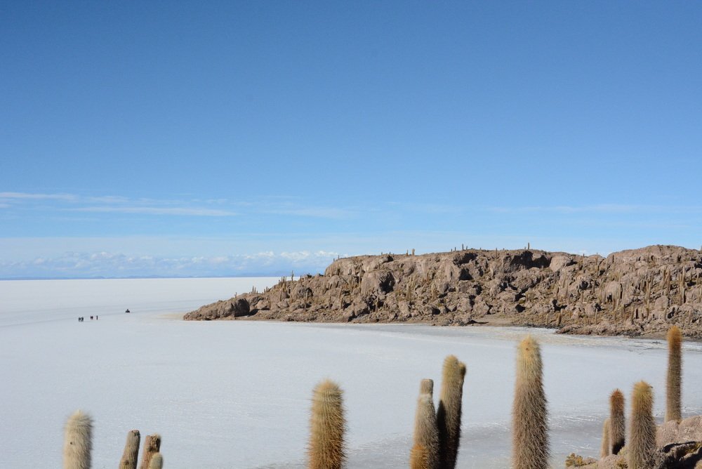 Photograph by Ksenija-Sena Kovacevic