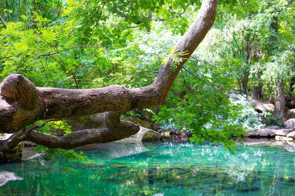 Photograph by Алексей Базаров