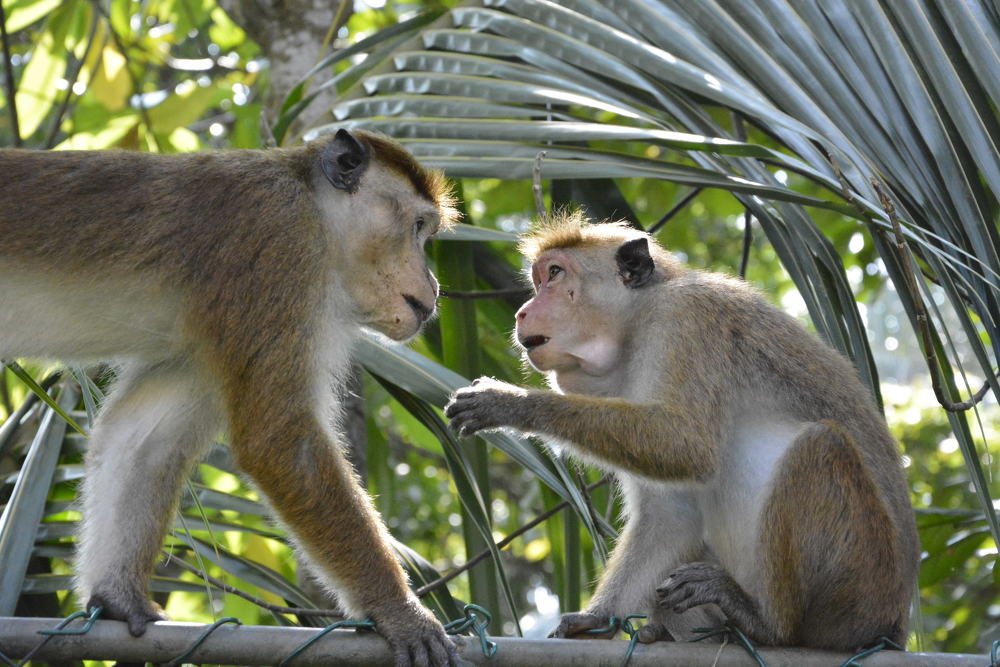 Photograph by Ksenija-Sena Kovacevic