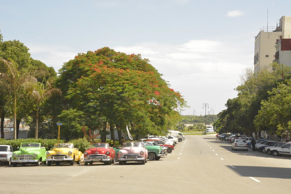 Photograph by Ksenija-Sena Kovacevic