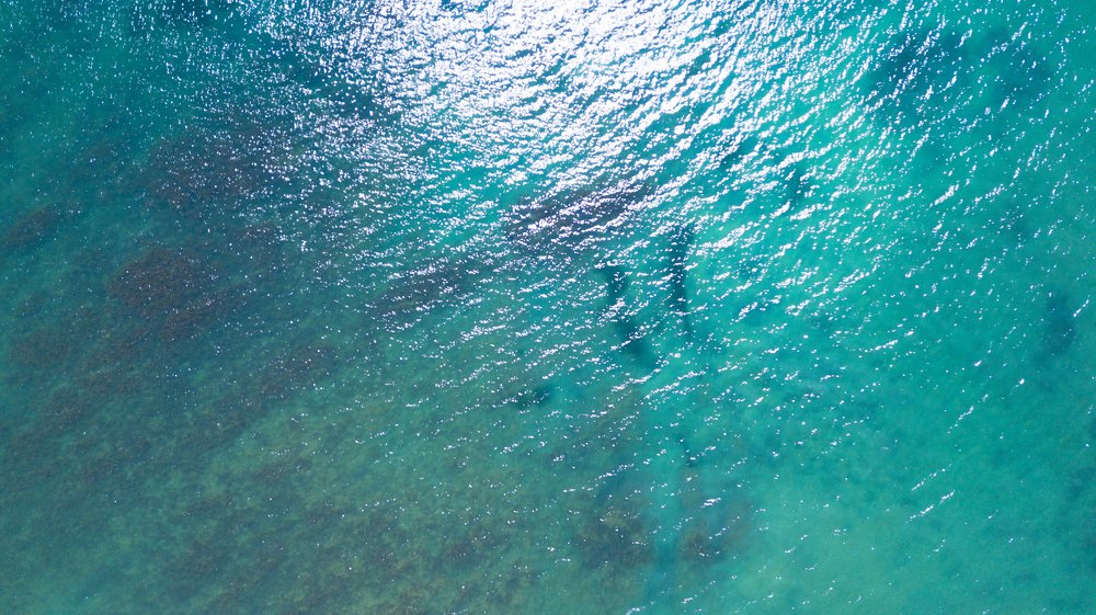 Photograph by Брехов Николай