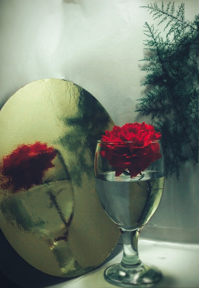 Photograph by Renz Adrian Ronda