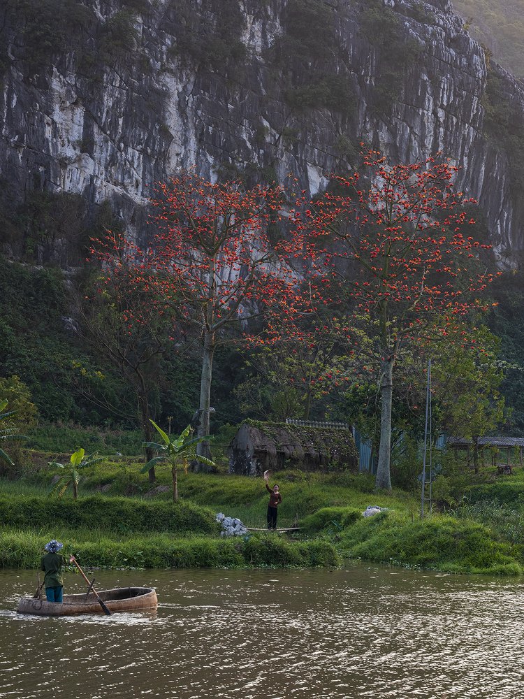 Photograph by Viet Nguyen Ho