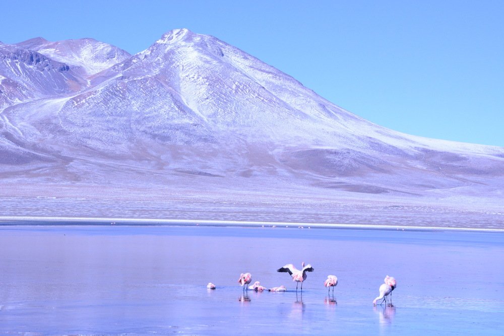 Photograph by Ksenija-Sena Kovacevic