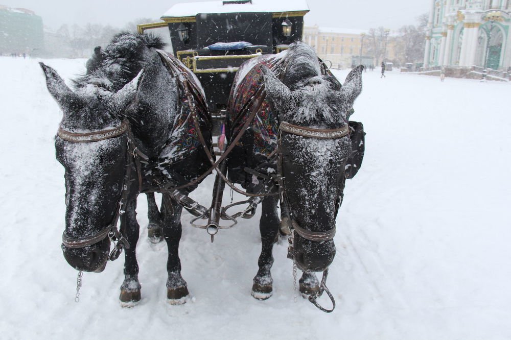 Фотография автора Виктор Крючков