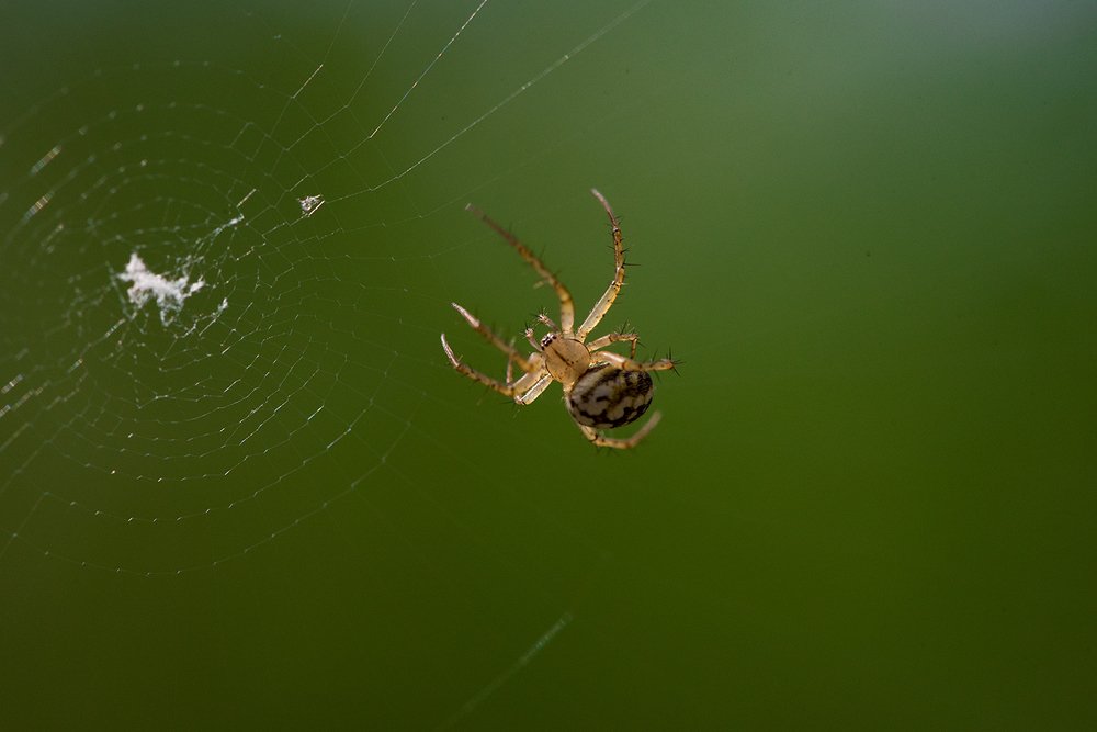 Photograph by Дмитрий Ру