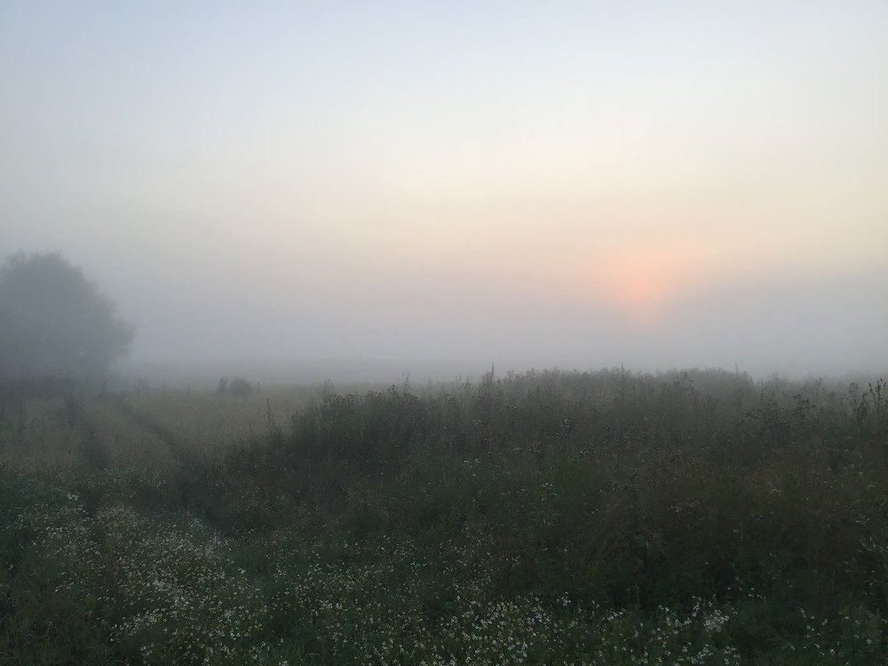 Photograph by Галина