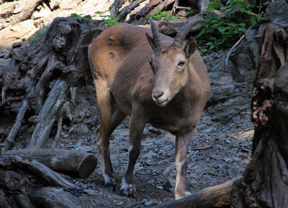 Photograph by Людмила Бутова