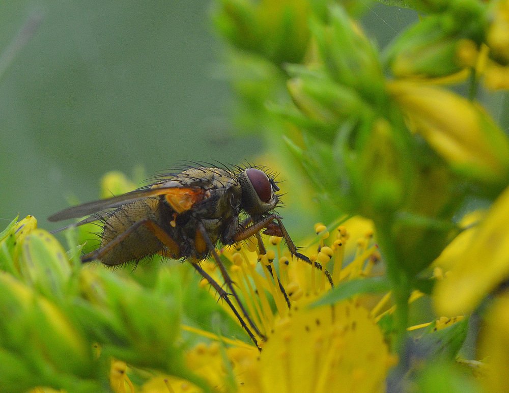 Когда не мешают.