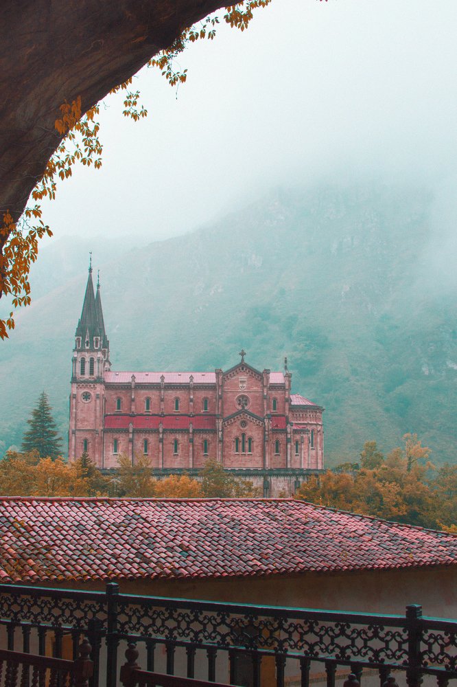 Photograph by David Hernández