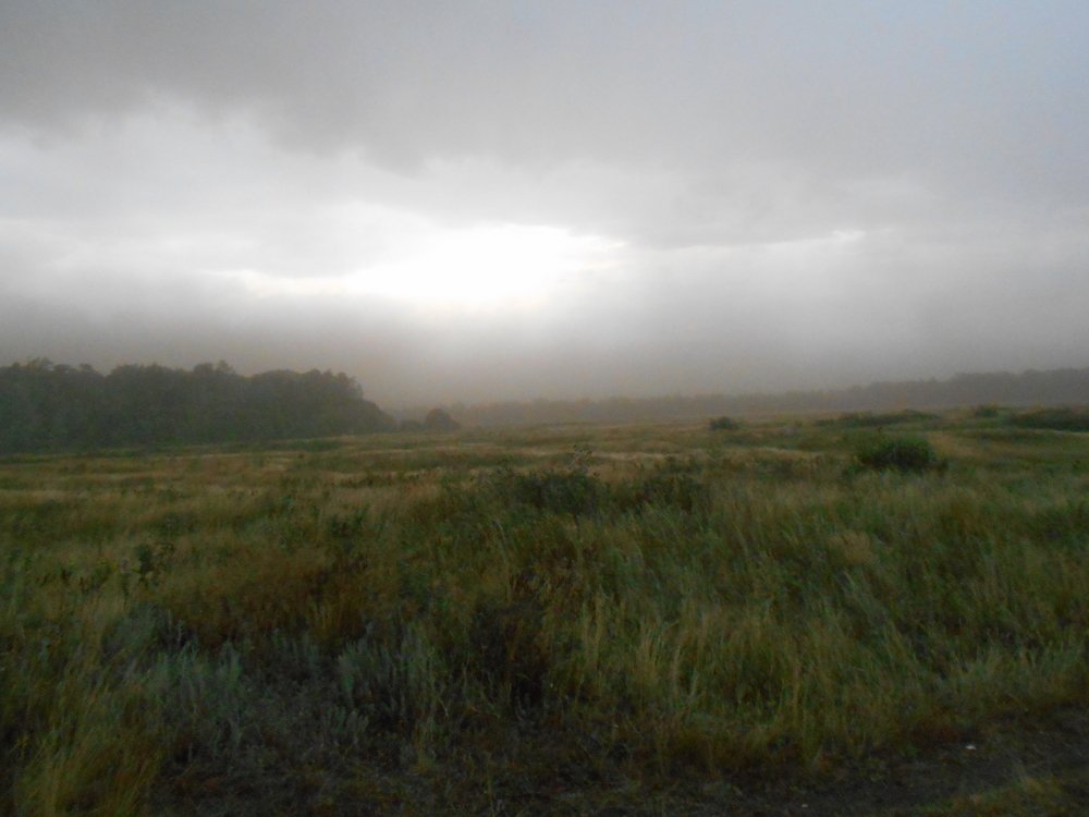 Photo #4820292