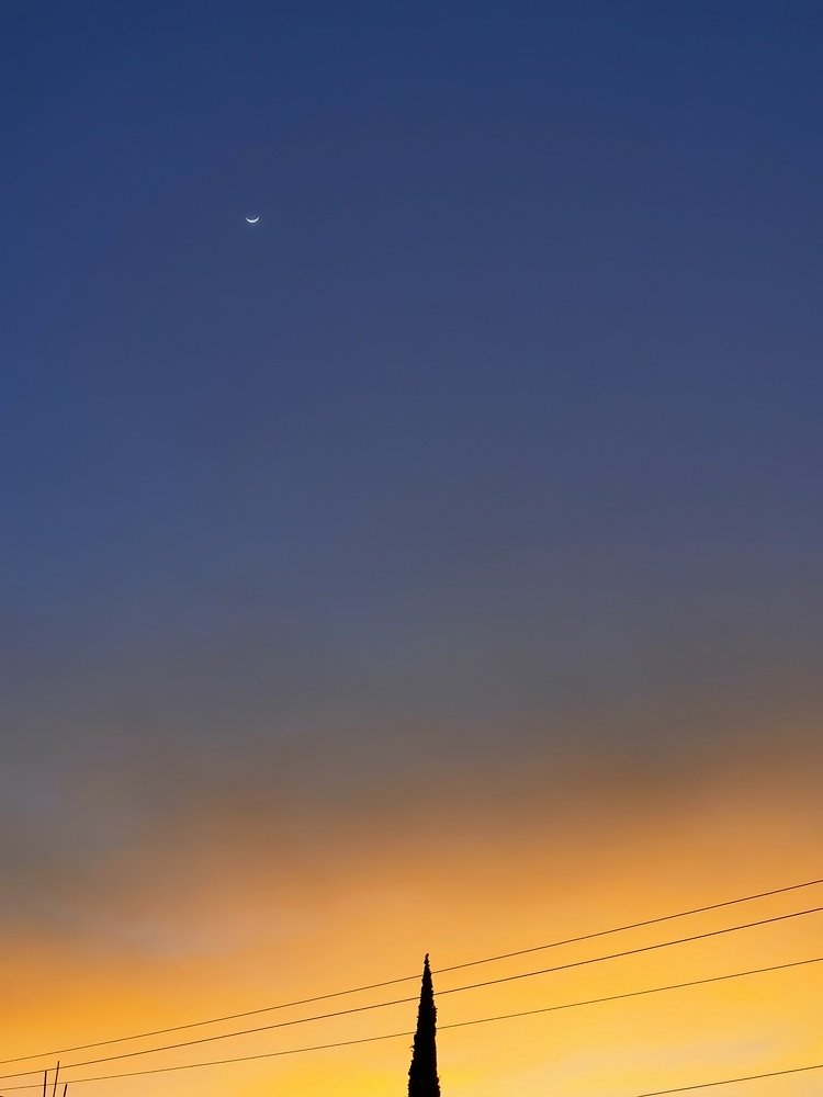 Photo #4820329