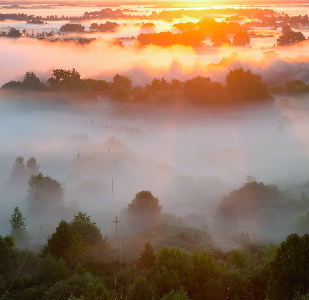 Photograph by Дмитрий Алексеев