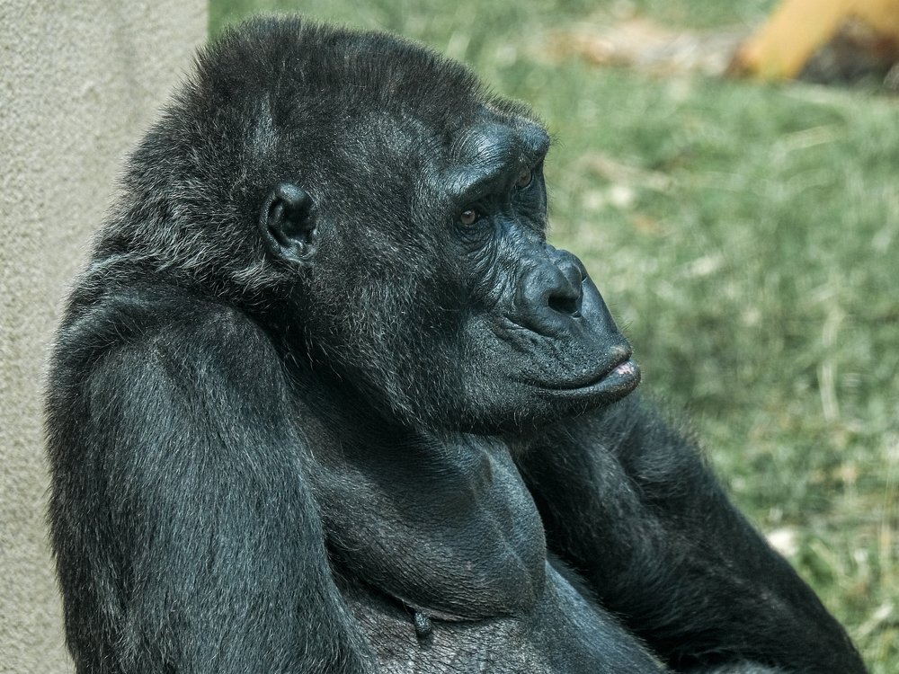 Photograph by Вячеслав Камышев