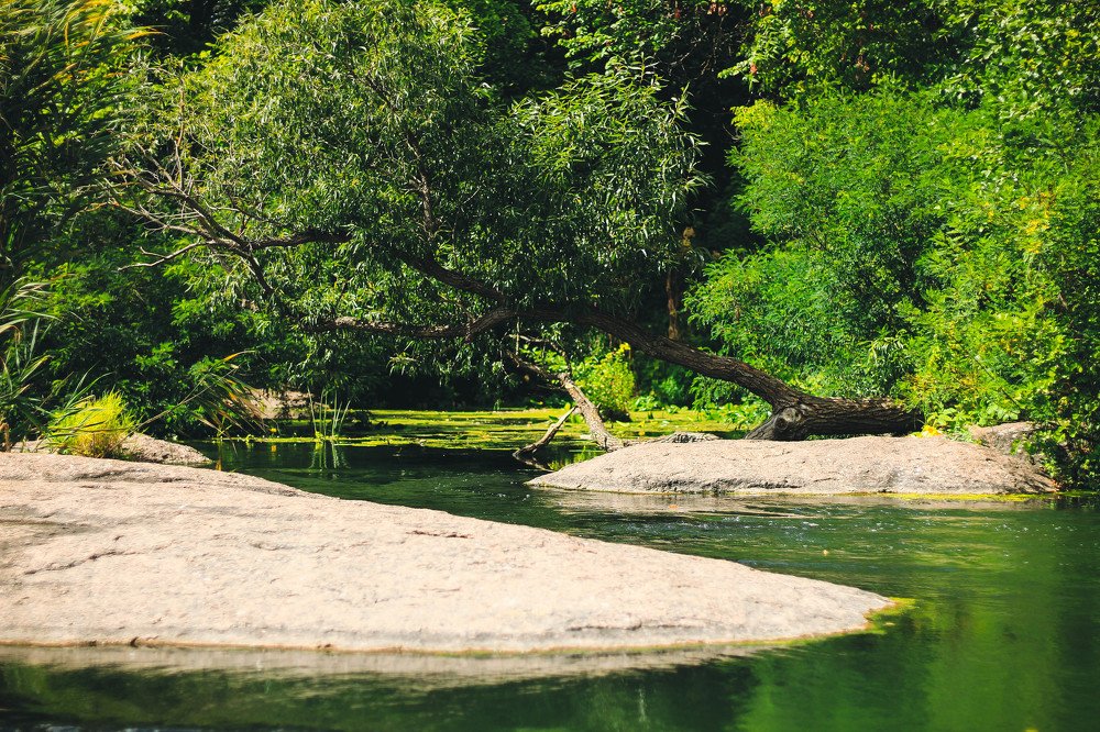 Фотография автора Евгений Король