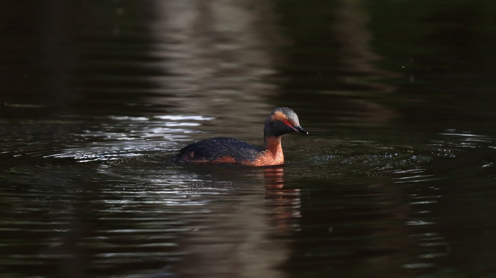 Спокойствие