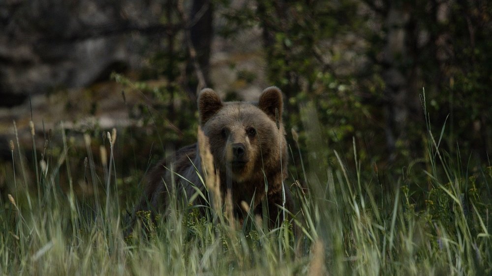 Photograph by Валентин Колинько