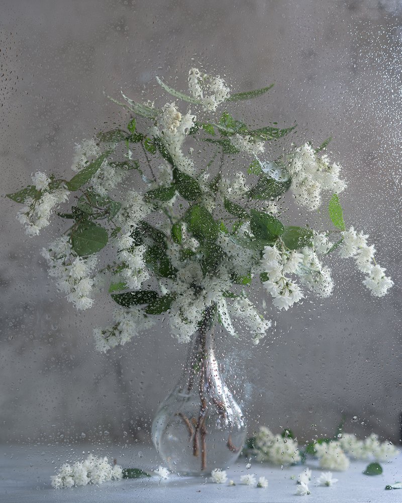 Photograph by Дарья Павликова