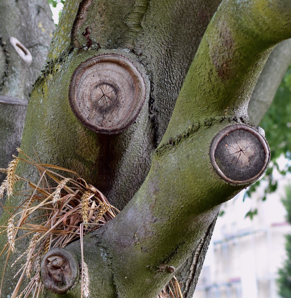 Photograph by Vitalii Kaznin