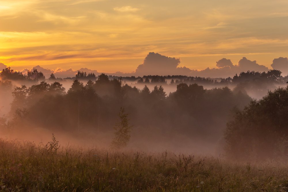 После дождя