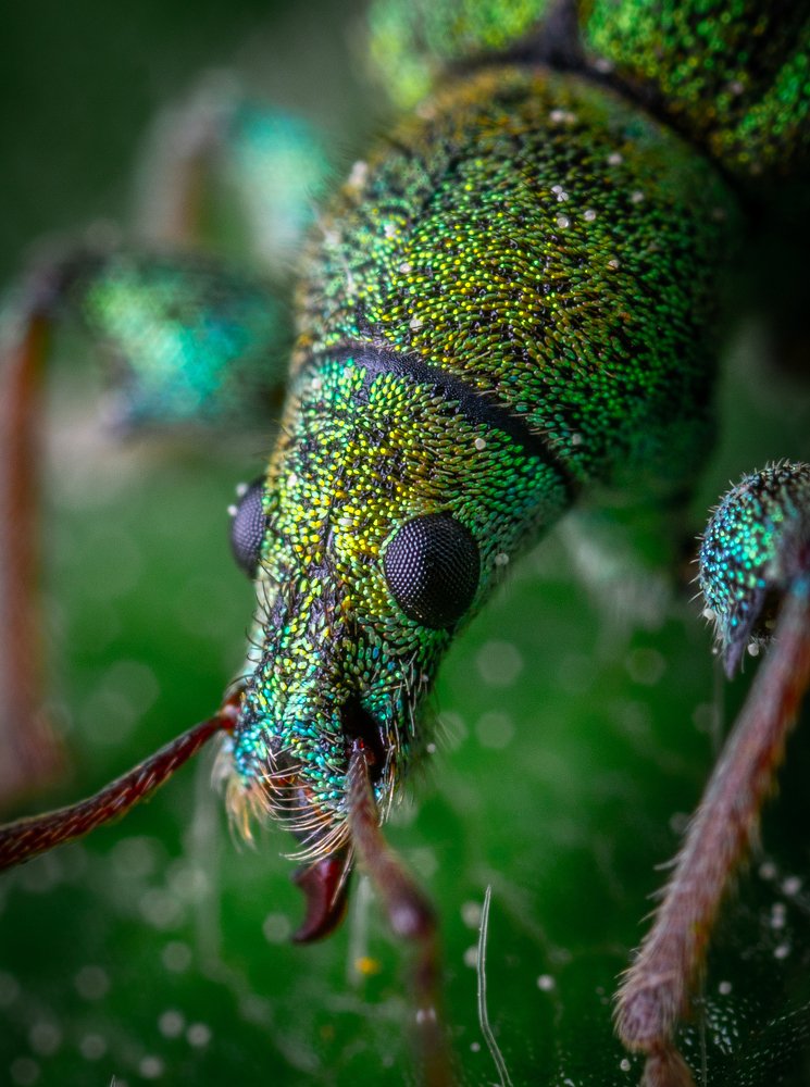 Photograph by Егор Камелев