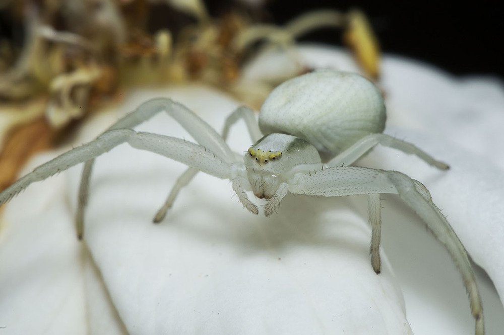 Фотография автора Марина Кулакова