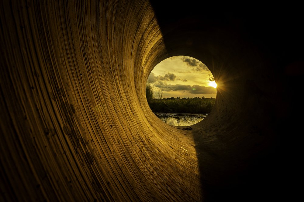 Photograph by PABITRA MAHATO