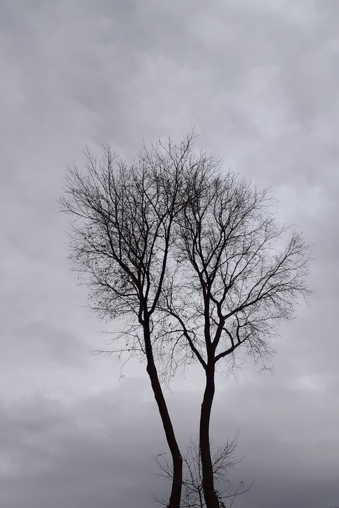 Photograph by Алсу Гиматова