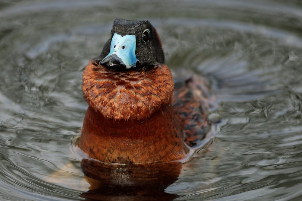 Photograph by Jaim Oliveira