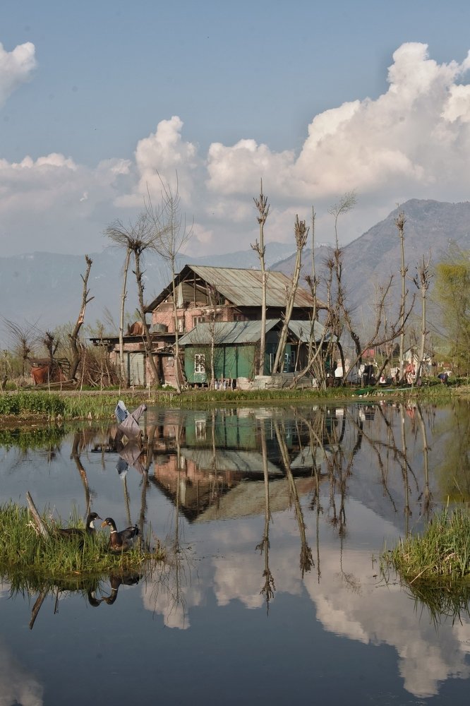 Photograph by Yamin Bashir