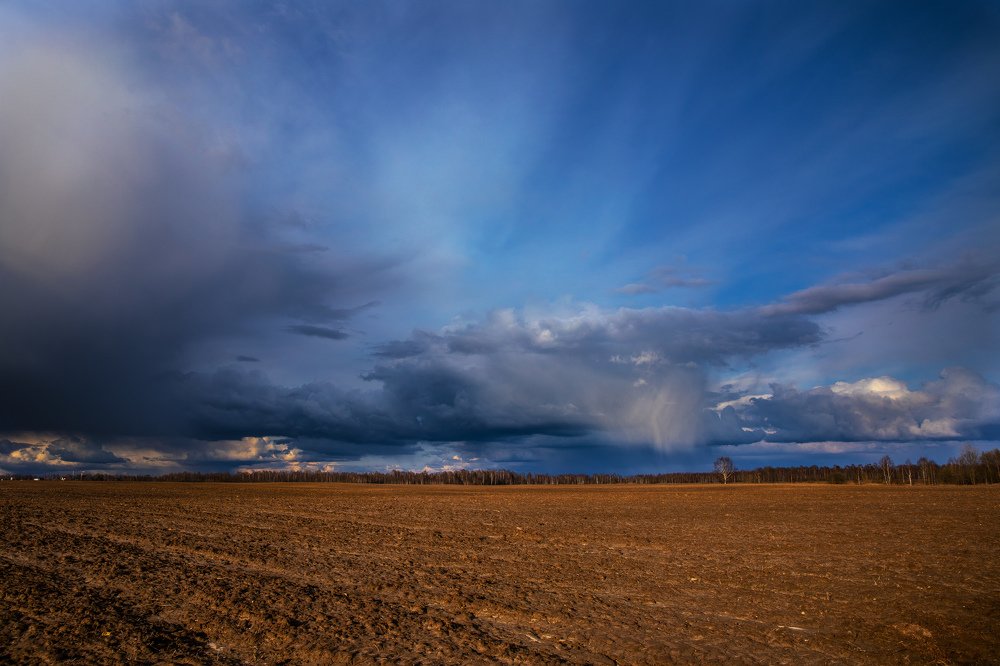 Ранняя весна в ковид-19 изоляции