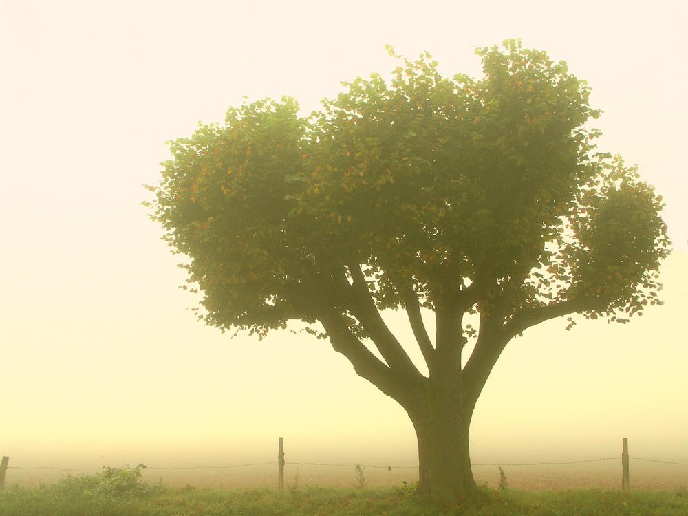 Photograph by Peter Hennig