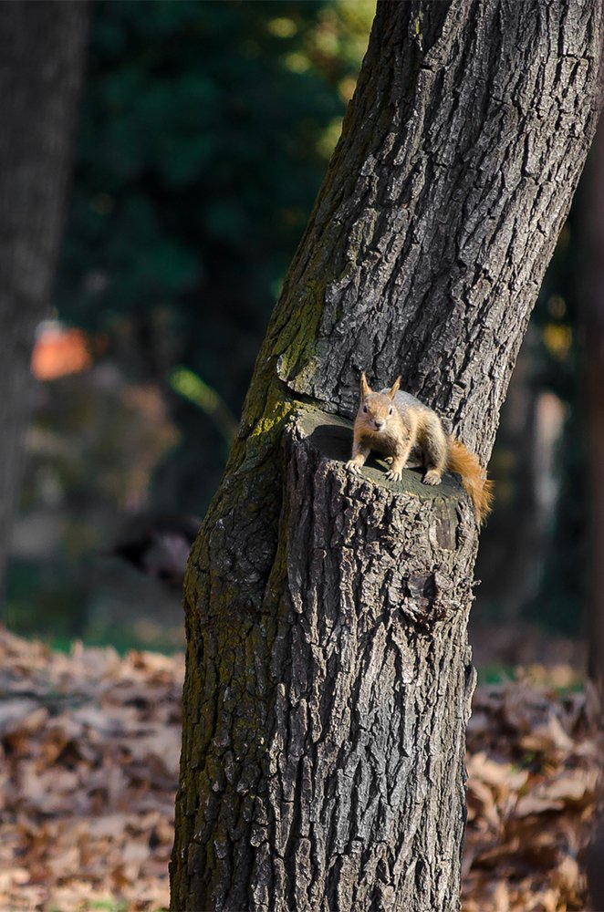Photograph by Sahar Jafari