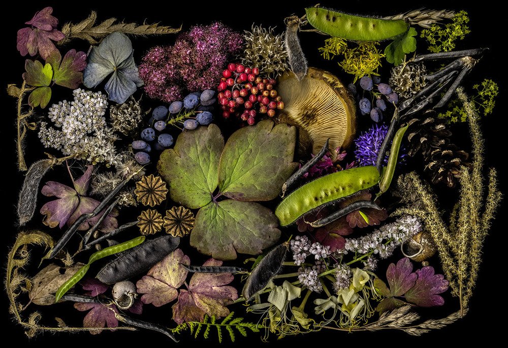 Photograph by Peter Hennig