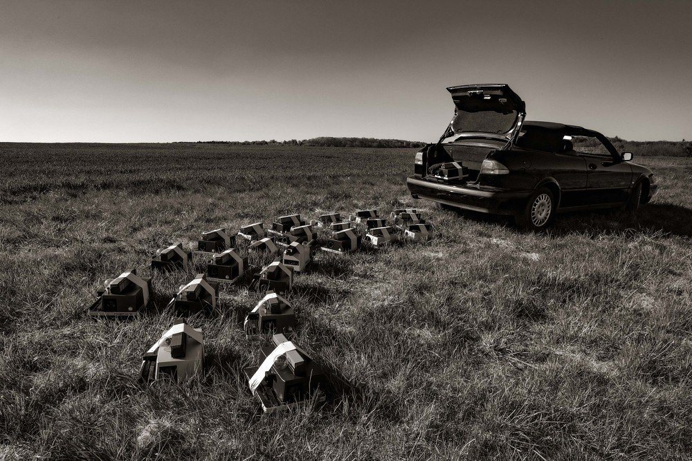 Photograph by Guenter Mik