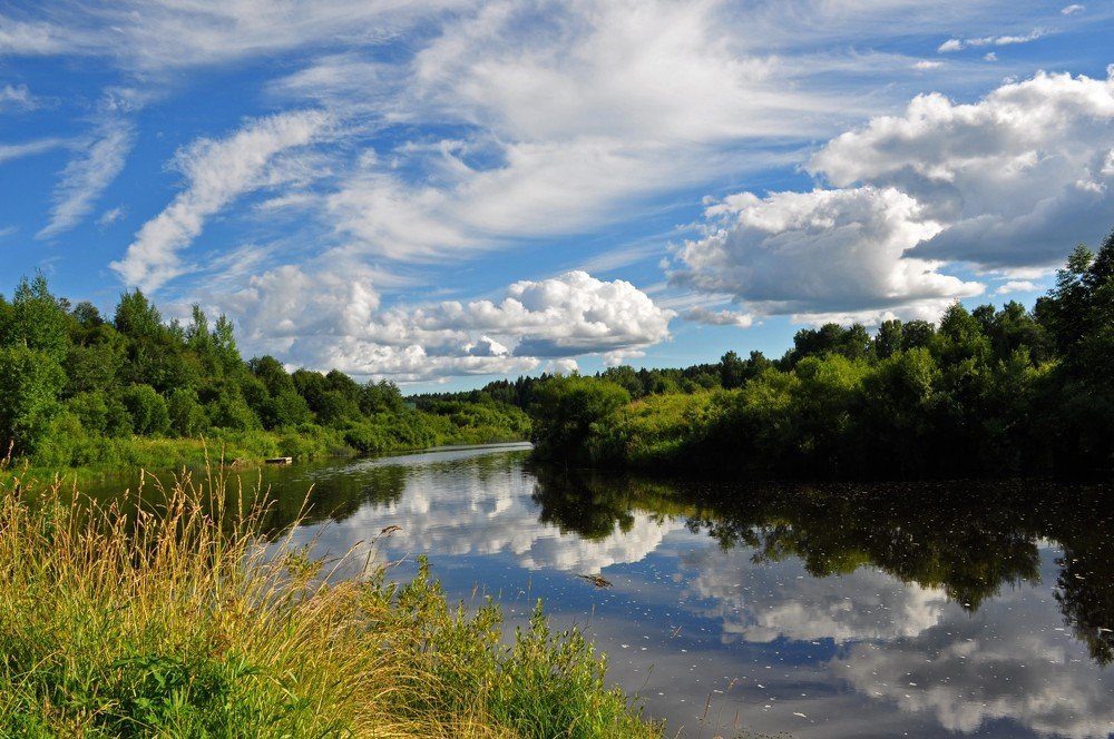 Фотография автора Наталья Липовская