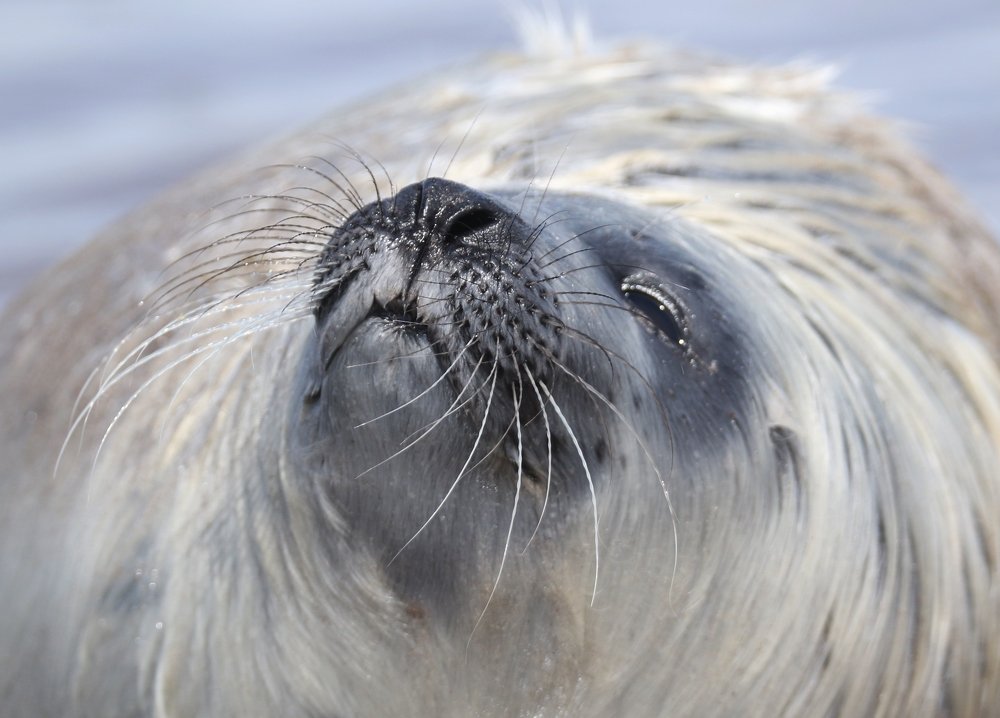 Photograph by philippe lahiton