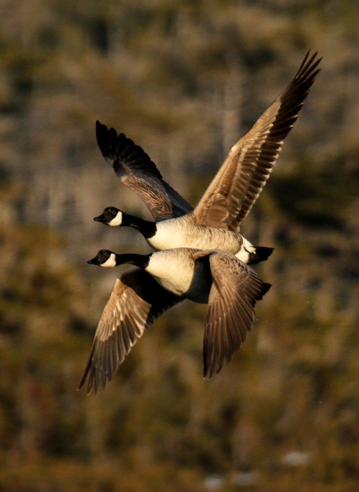 Photograph by philippe lahiton