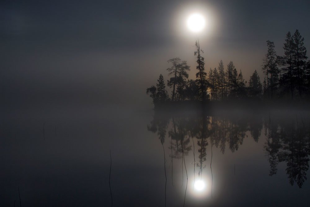 Photograph by Парамонов Григорий