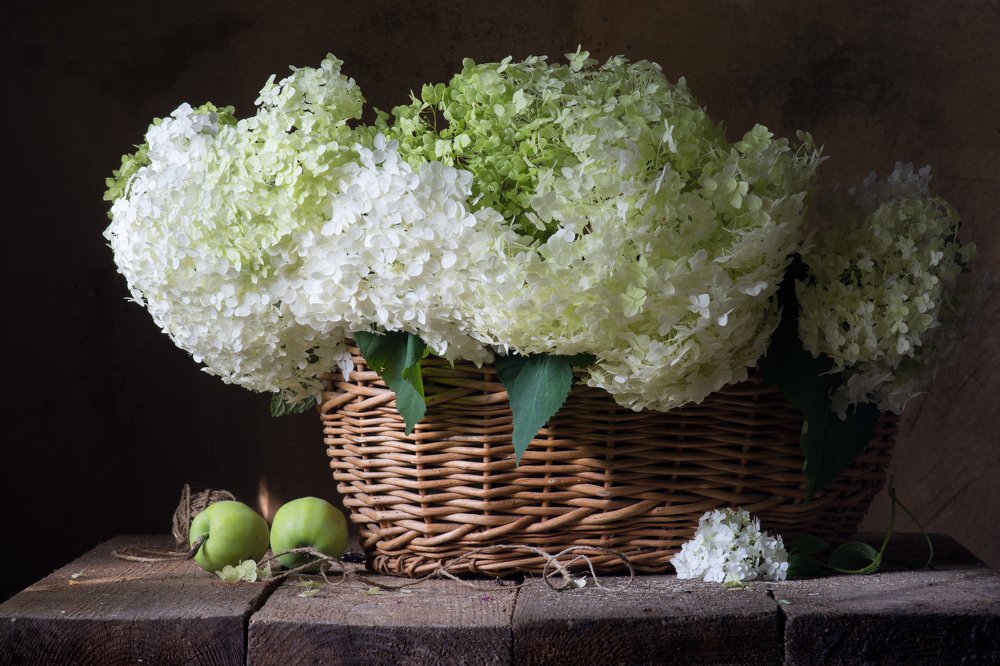 Photograph by Елена Мустафина