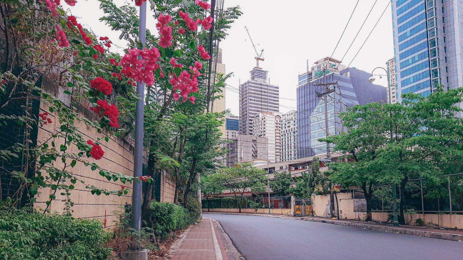 Empty street