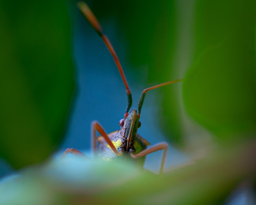 Photograph by josue quijada