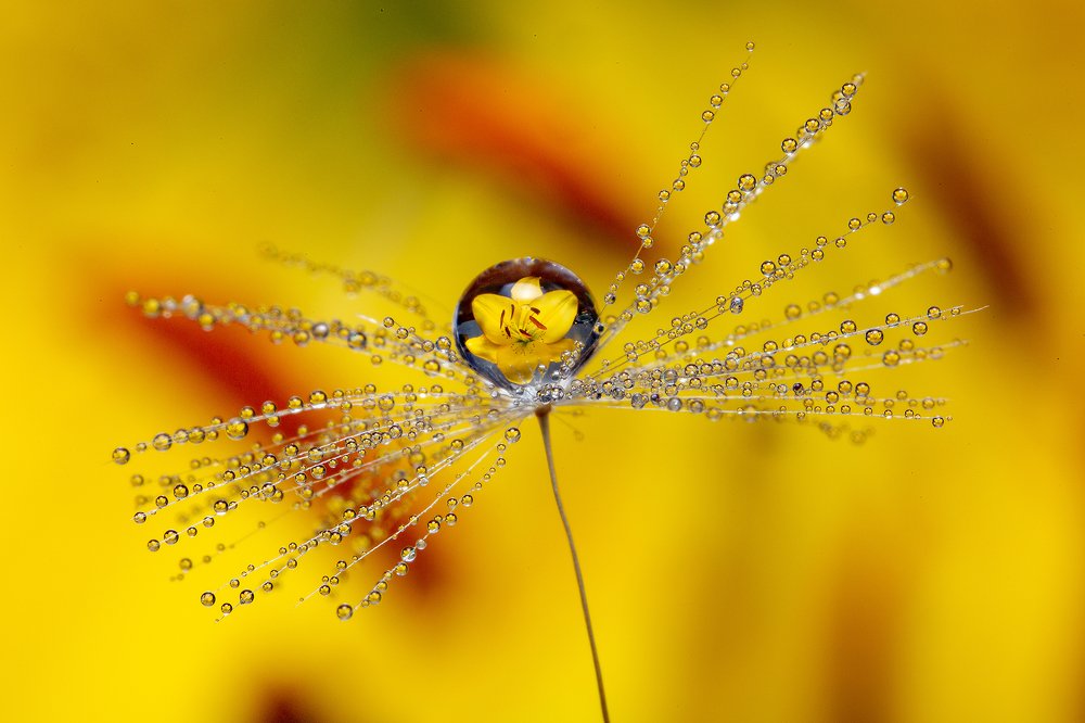 Photograph by Иван Радьков