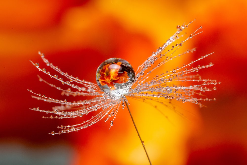 Photograph by Иван Радьков