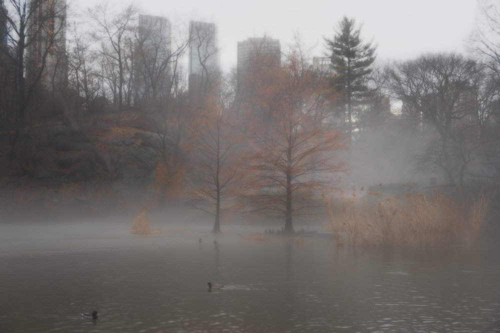 Photograph by Guillermo Bernaldo de Quiros