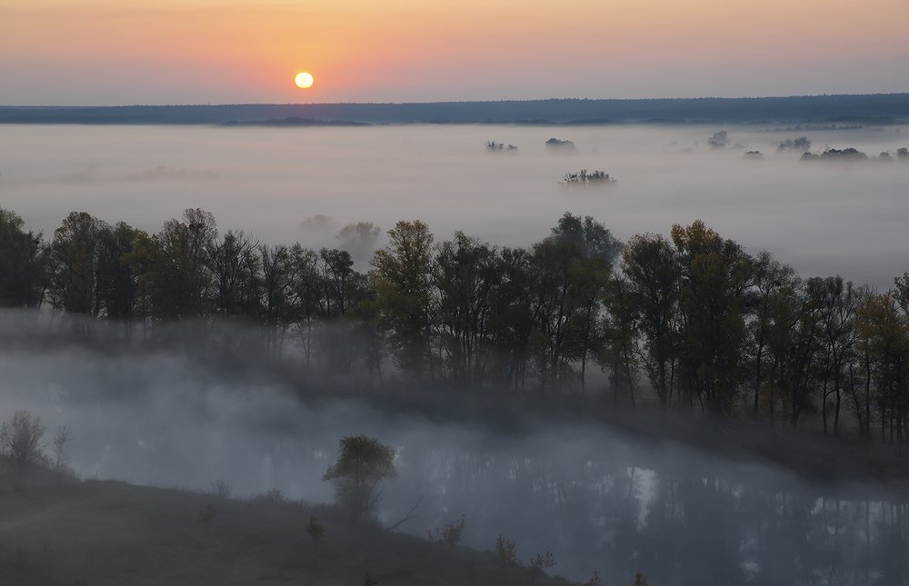 Туманные берега