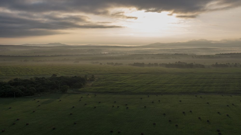 Photograph by Максим Апонасенко