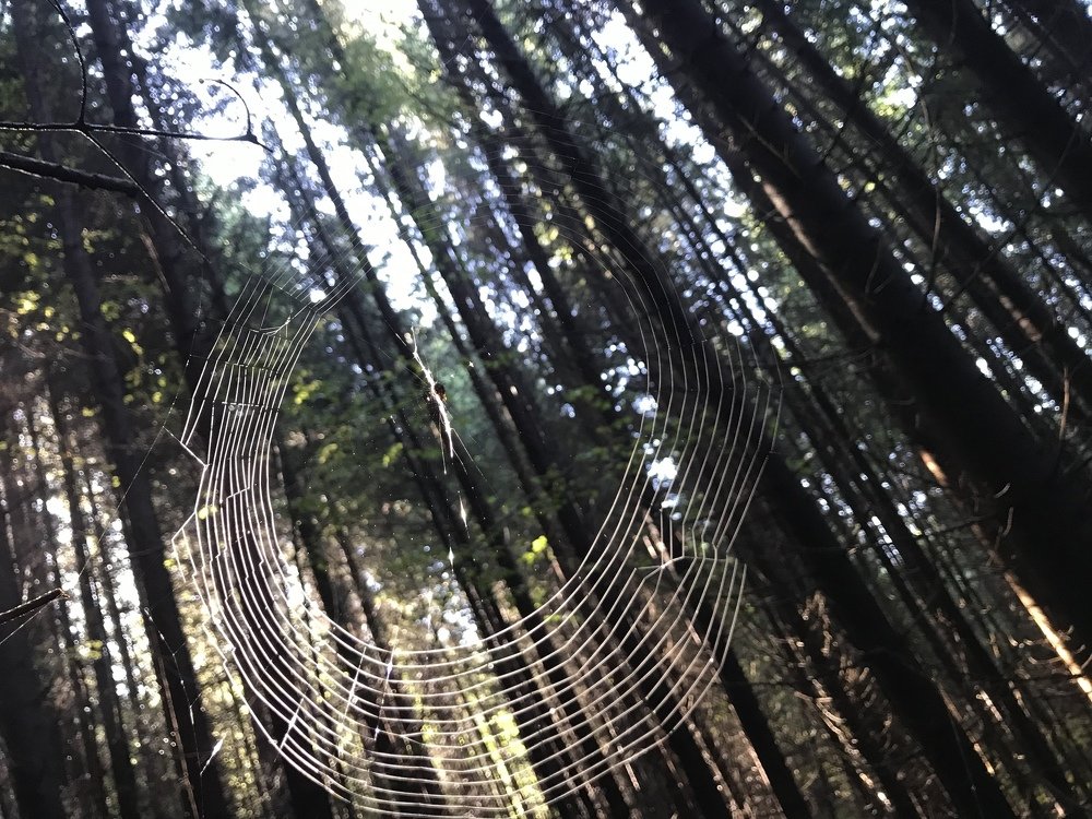 Photograph by Ваня