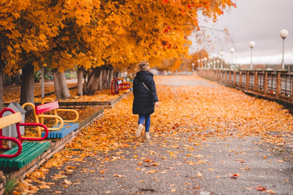 leaf fall